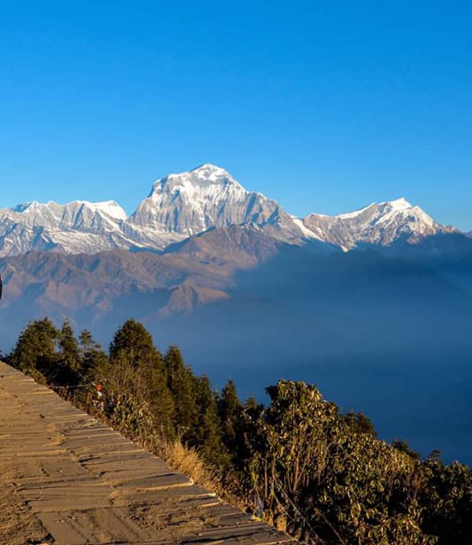 Ghorepani Poon Hill Trek