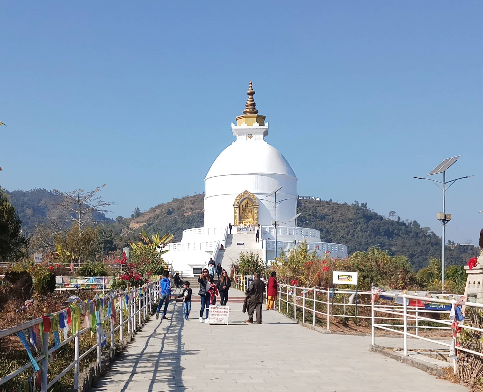 Pokhara Nature Tour